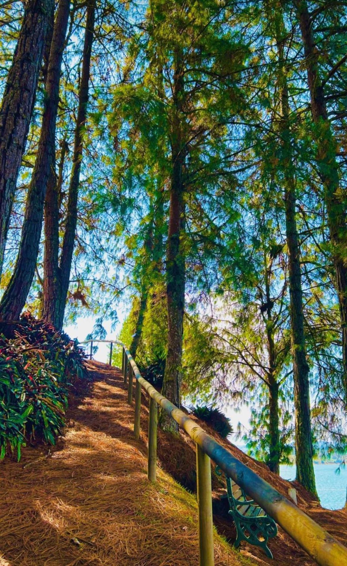 Guatapé El Trebol旅馆 外观 照片